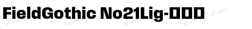 FieldGothic No21Lig字体转换